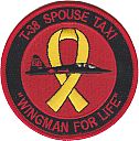 0009_reconnaissance_wing-t38_spouse_taxi-01.jpg