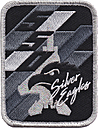 0550_fighter_squadron-silver_eagles-01.jpg