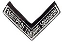 3501stPiotTrainingSquadrontabv.jpg