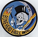 95th_Fighter_Squadron_F-15_Intel.jpg