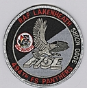 494th_FS_Panthers_3000_hour_patch.jpg