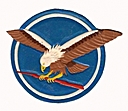 178th_Fighter_Squadron_(leather).JPG